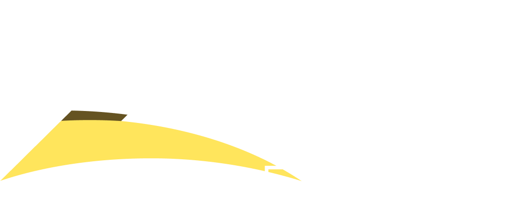 Footer Logo